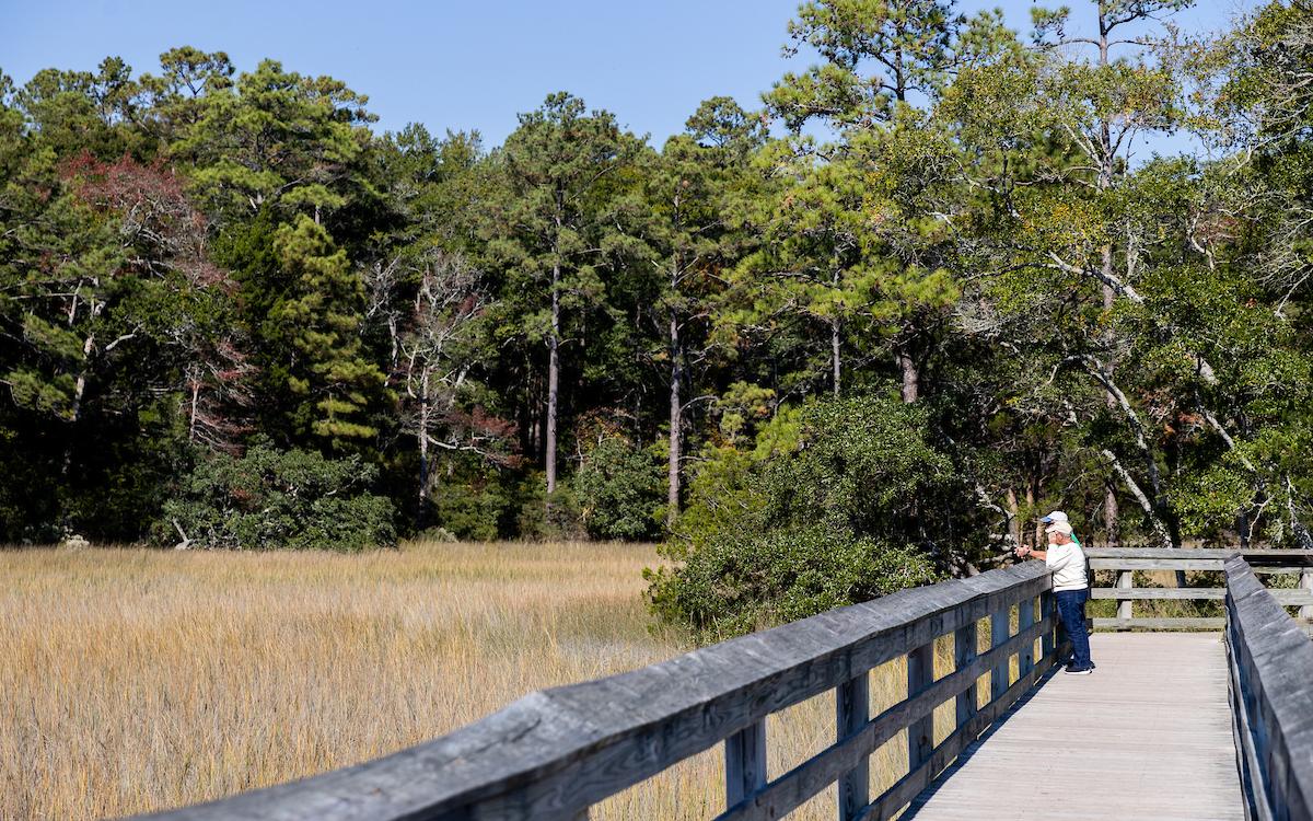Vereen Memorial Historical Gardens